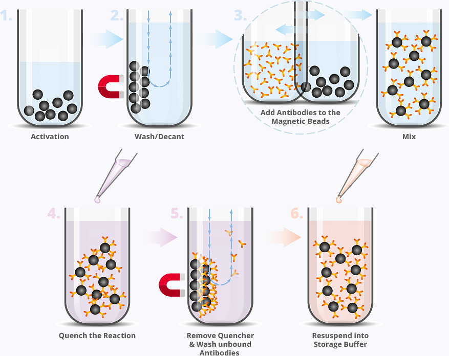 Click Chemistry Tools website info-graphics